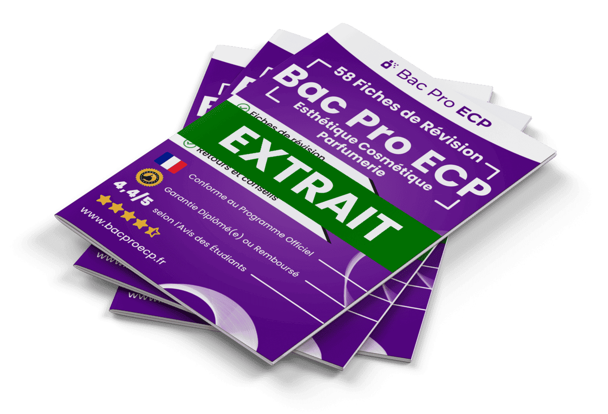 15 Fiches Révision gratuites Bac Pro ECP