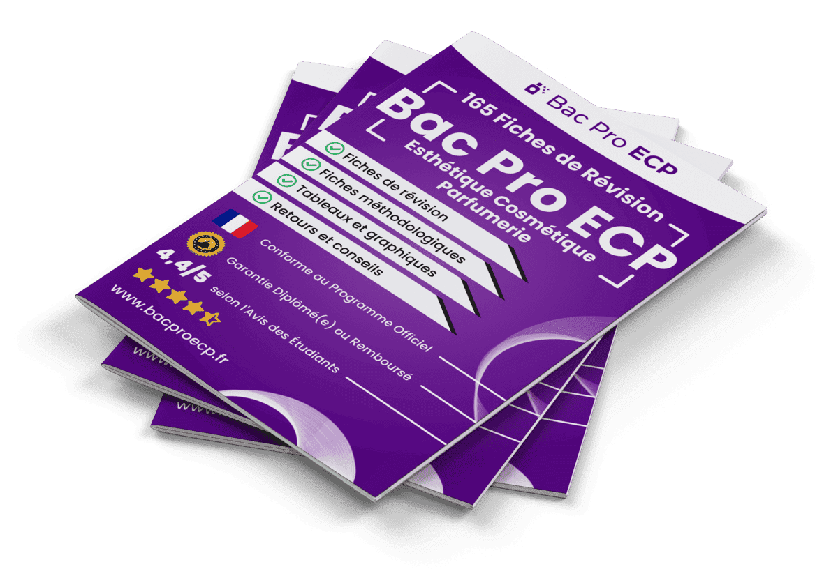 165 Fiches de Révision pour le Bac Pro ECP